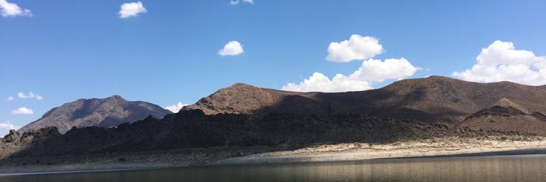 Cecilia Reynoso V banner