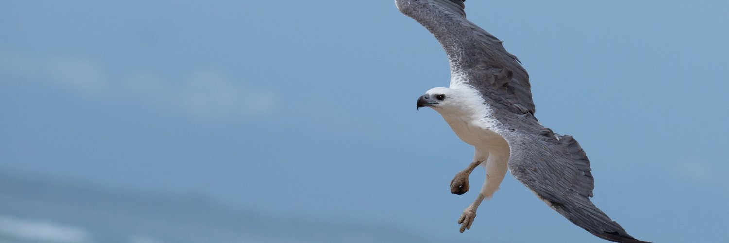 birdnerdsau's profile banner image