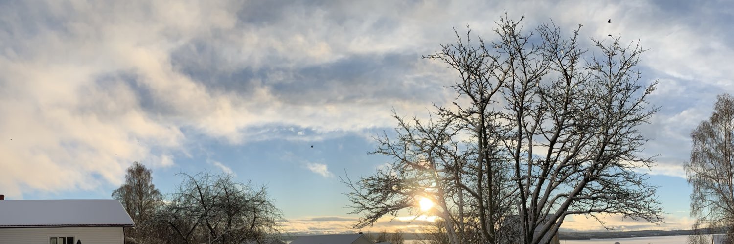 WiknerCevin's profile banner image