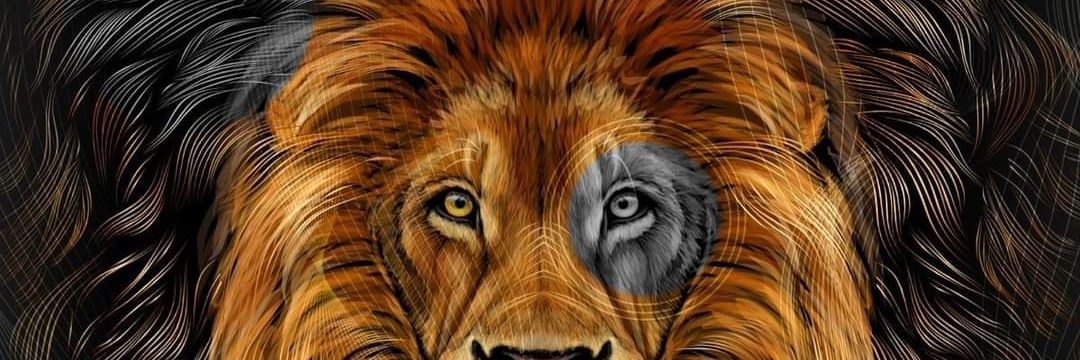 jorgea_pinto's profile banner image