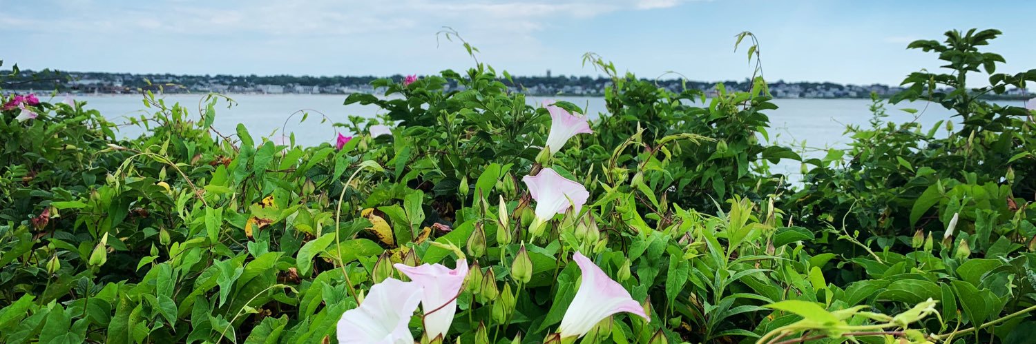 Stephanie Wight banner