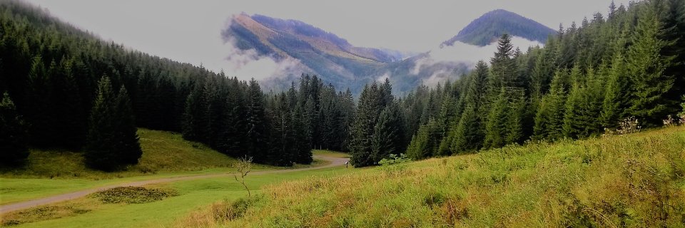 SatChri's profile banner image