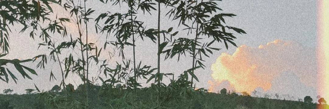 IsabellaMarja's profile banner image