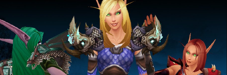 Quinn banner