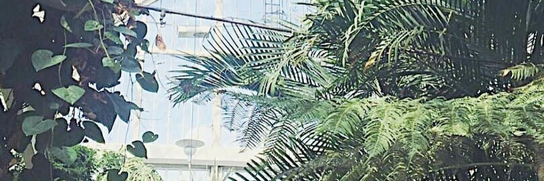 l i n d a banner