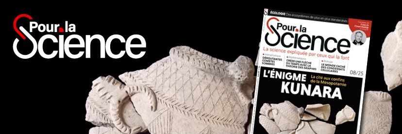 Pour la Science's banner