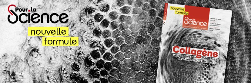 Pour la Science banner