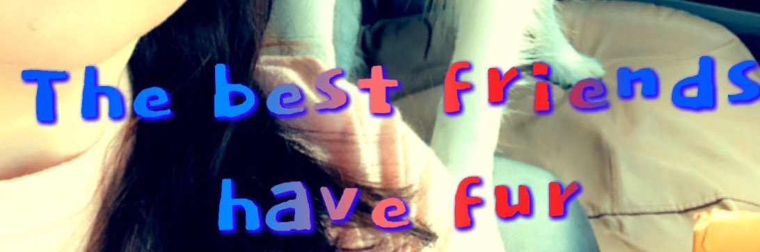 olivia39562's profile banner image
