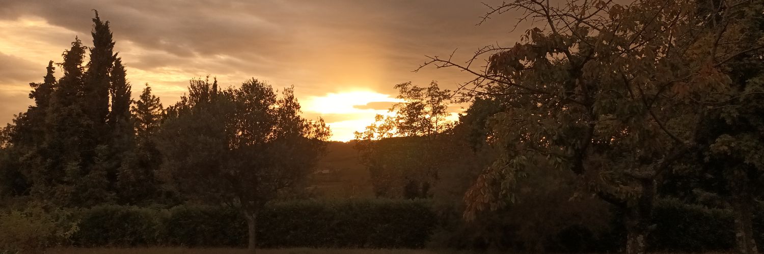 TFassa's profile banner image