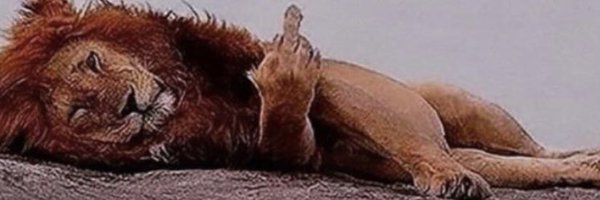 TRYBESHXT Profile Banner