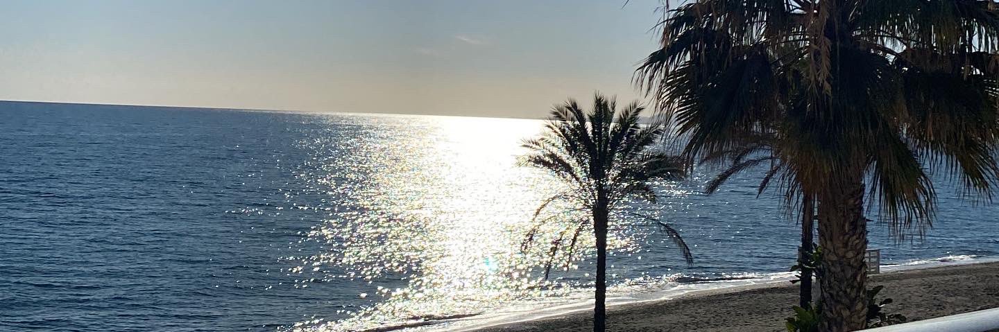 RocioPinazo's profile banner image