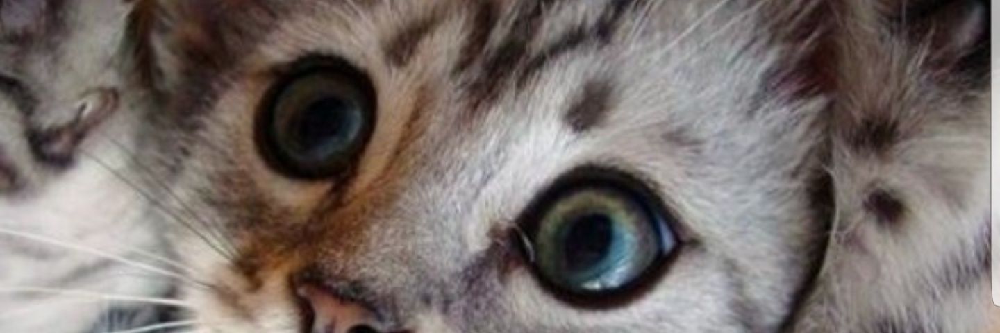 raphael3810's profile banner image