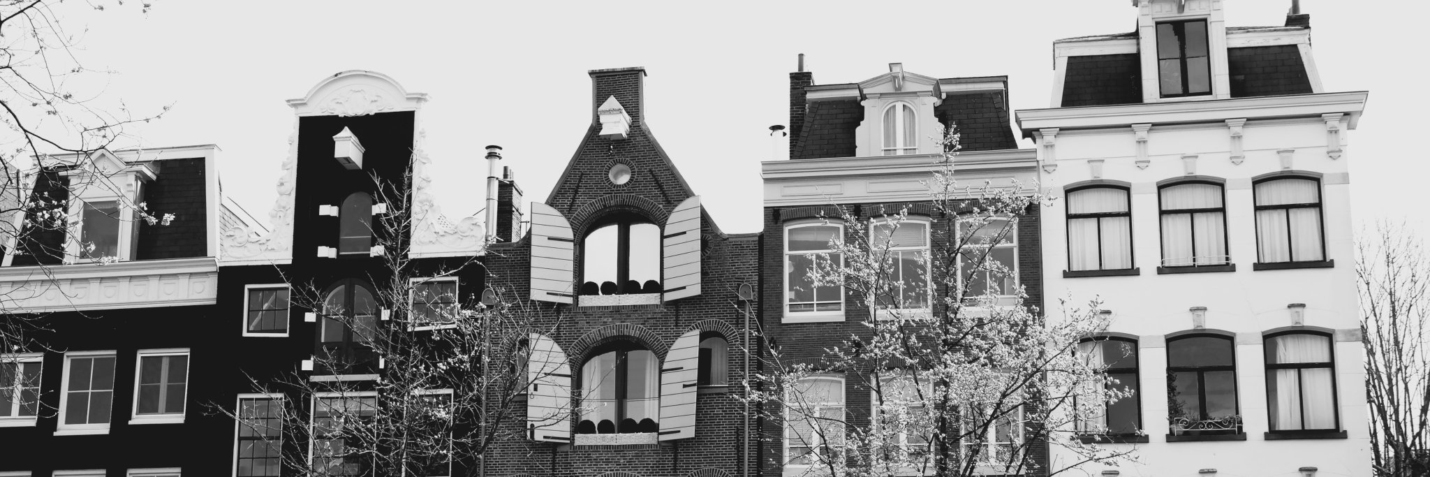 TwentiesGuide's profile banner image
