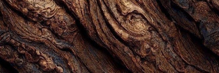 MinnhaKim's profile banner image