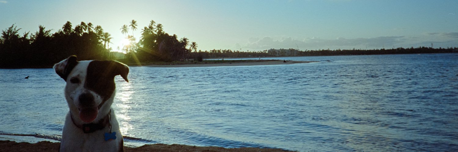 macaaisabel's profile banner image