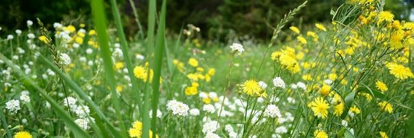 Andover_MN Profile Banner