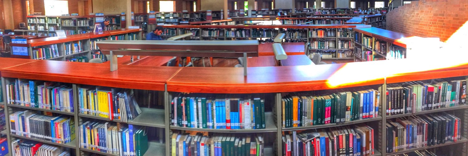 Cementerio De Libros banner