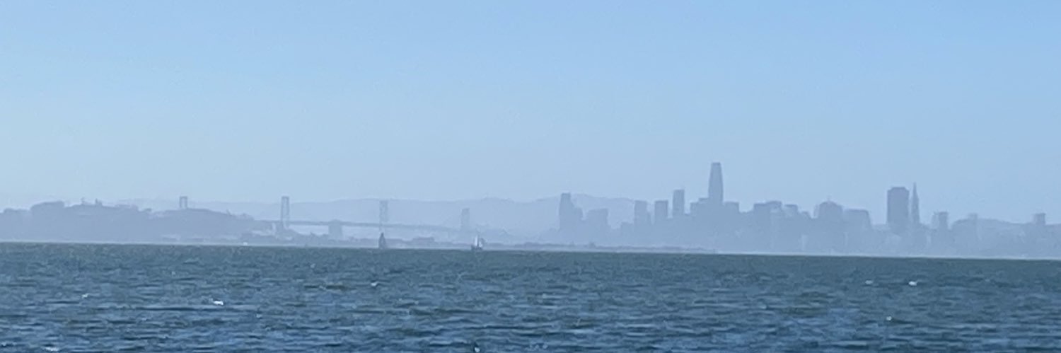 Ray D'Antuono banner