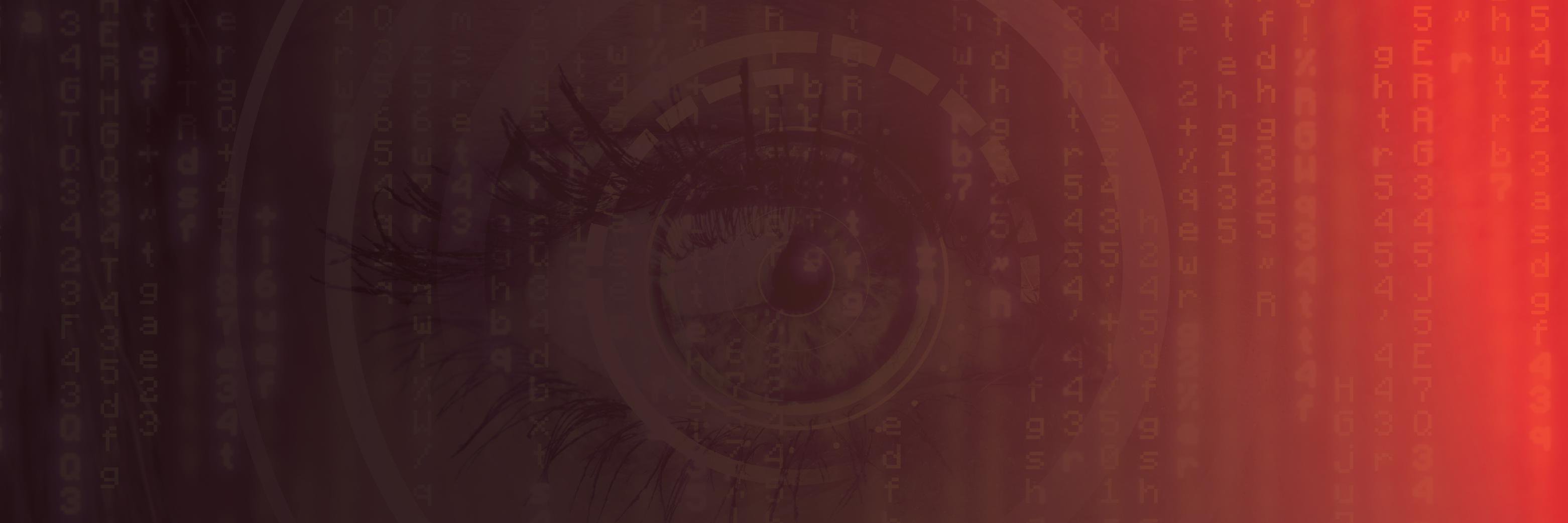 VBinsight banner