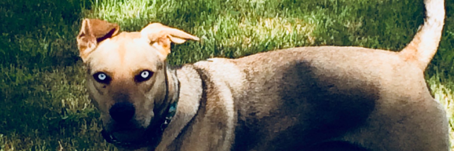 Hardly_Charlie's profile banner image