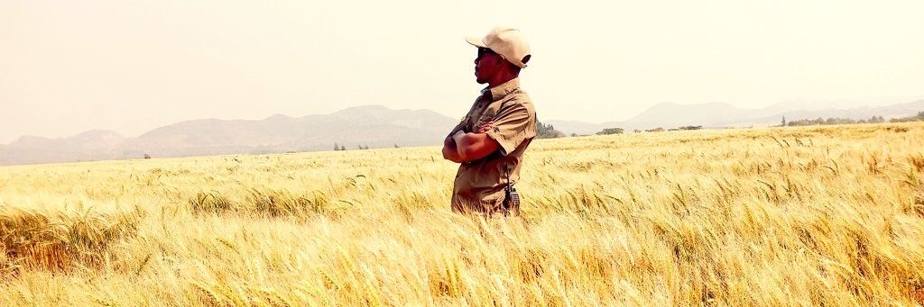 Pastor Farmer 🇿🇼 🌾🥔🥚🐂 banner