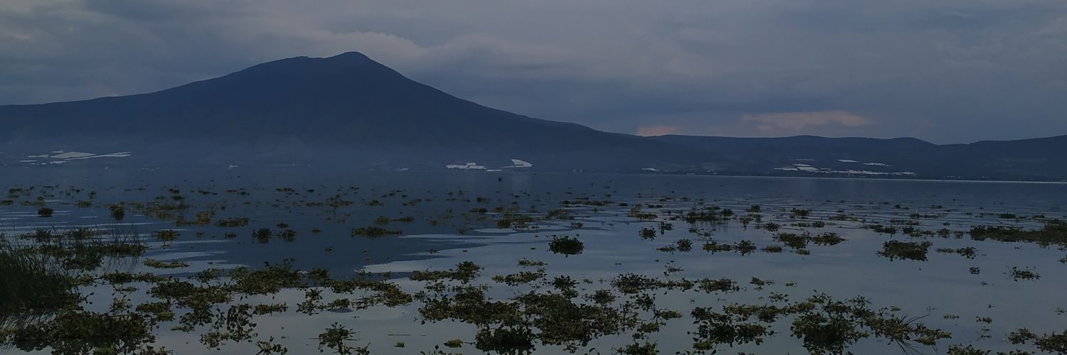 CastorOntiveros's profile banner image