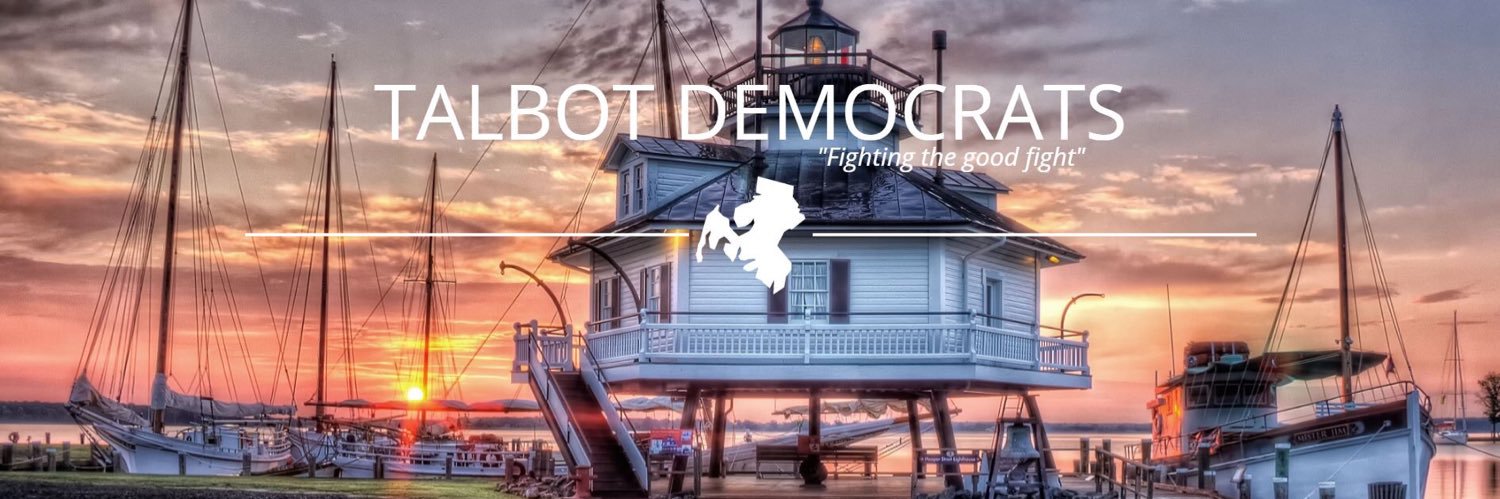Young Talbot Dems banner