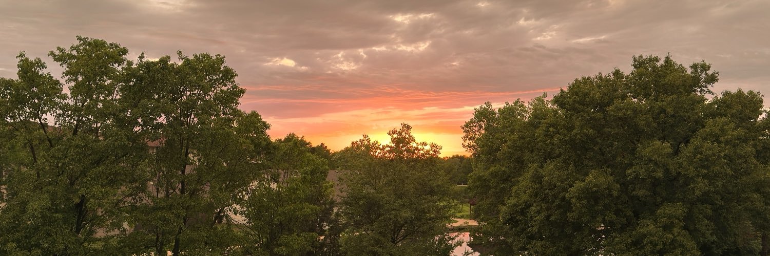 danmllx's profile banner image