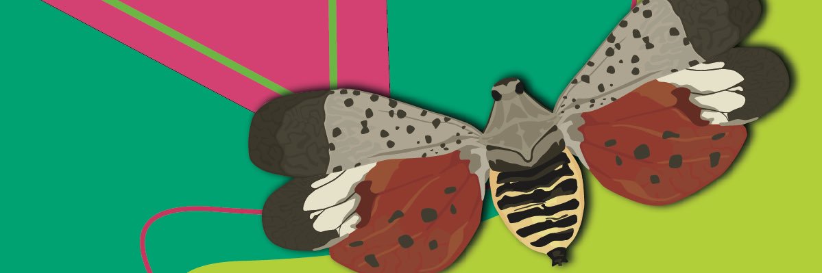 MSBugBlues's profile banner image