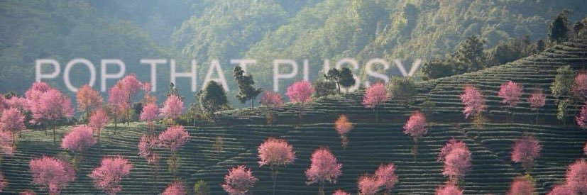 Cool_Gray_'s profile banner image