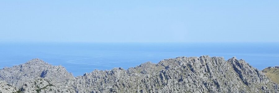 LALPHA_B's profile banner image