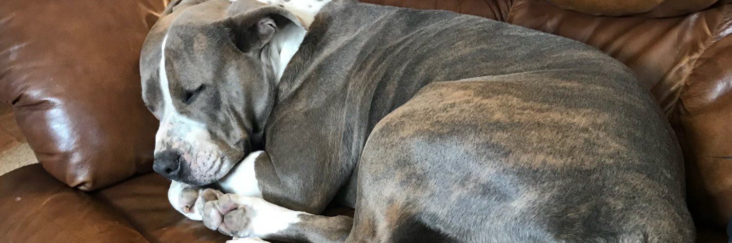 _AprilMariee's profile banner image