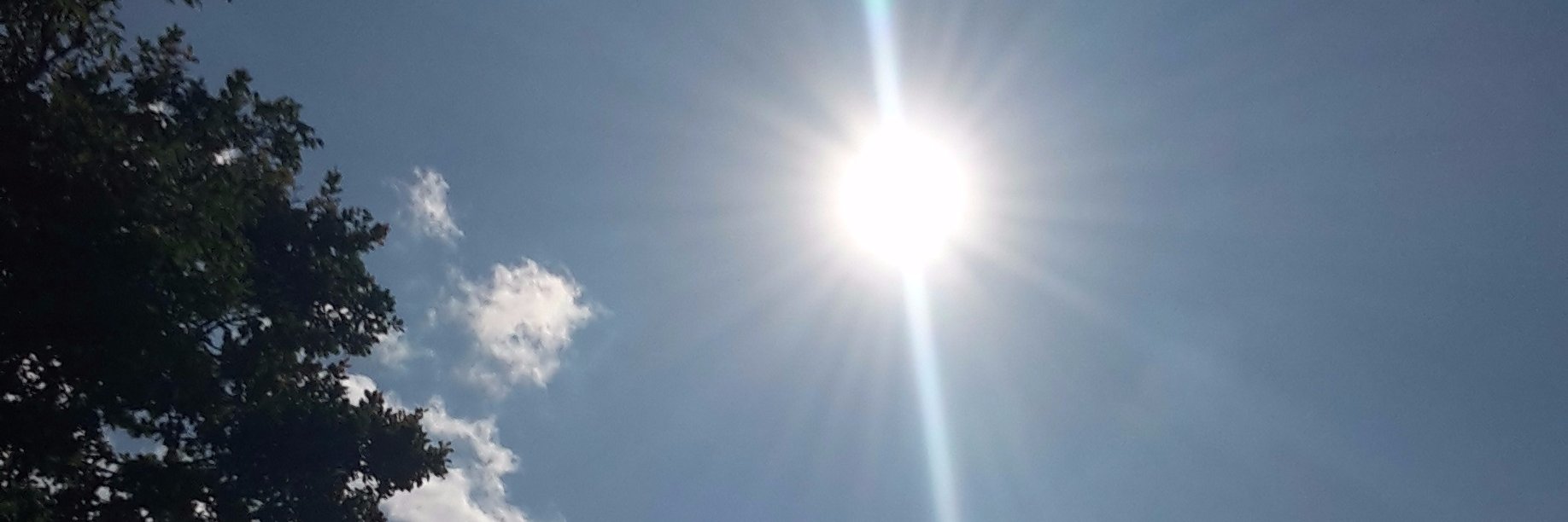 eternal optimist banner