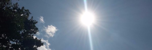 dettybo Profile Banner