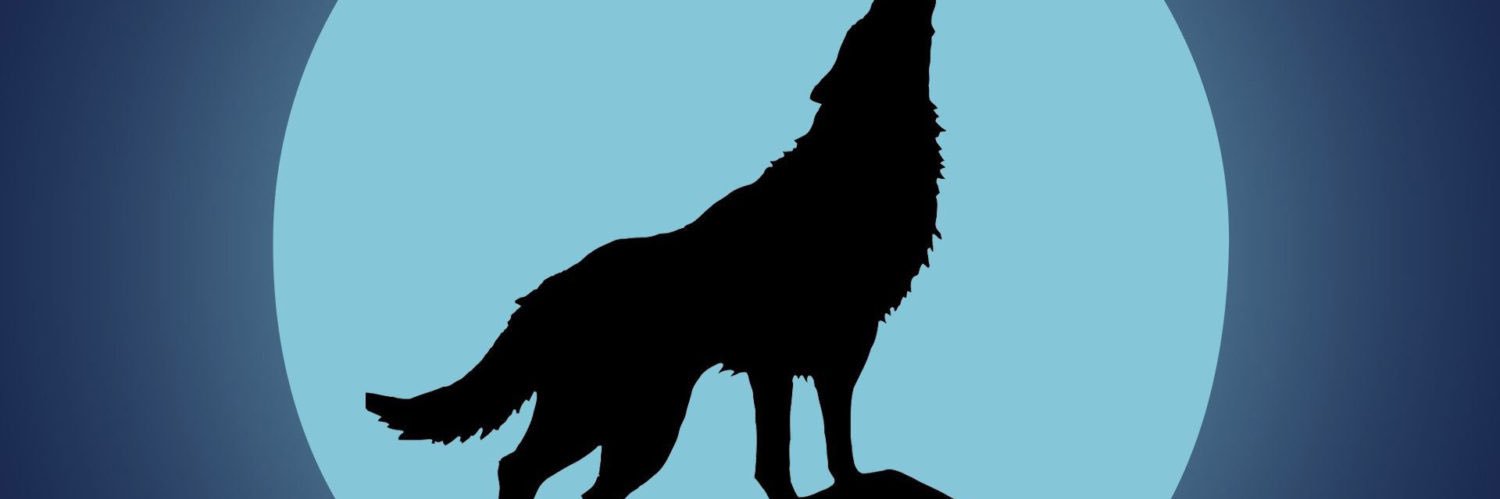 Bennysounours's profile banner image