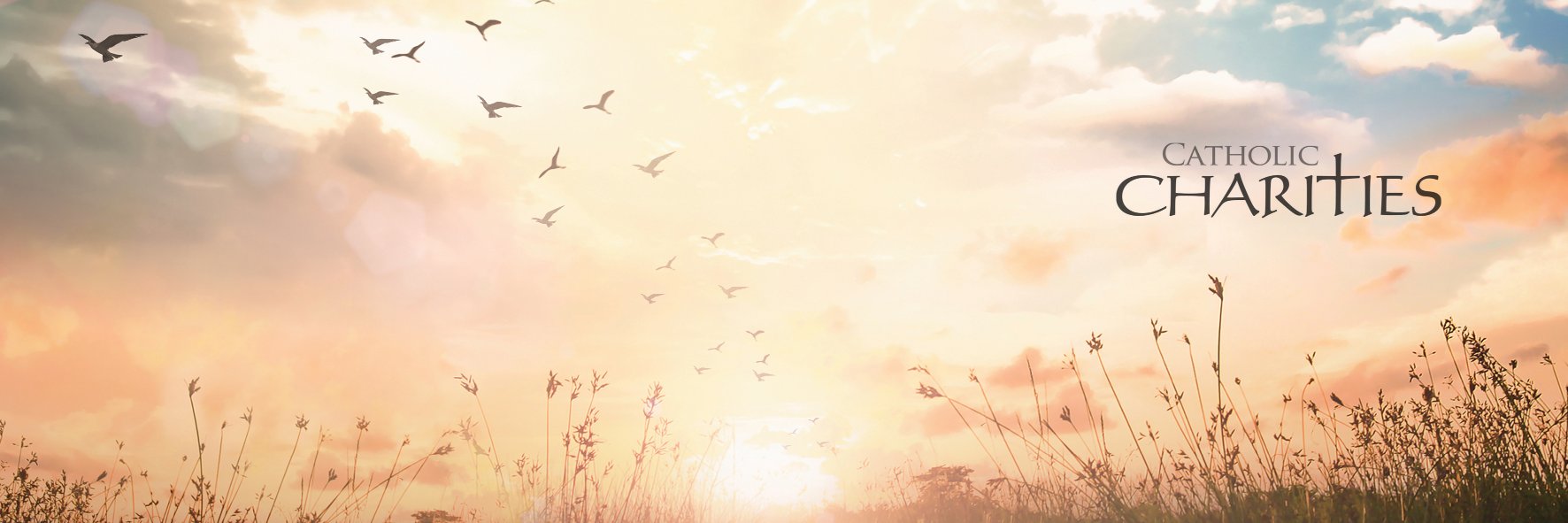 CCB_Jax's profile banner image