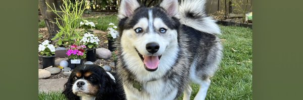 camy_jon24 Profile Banner