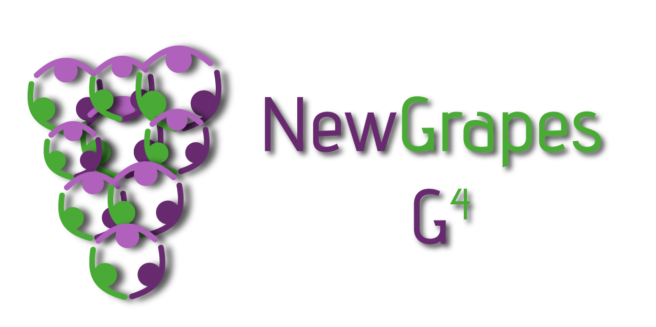 NewGrapesMedia's profile banner image