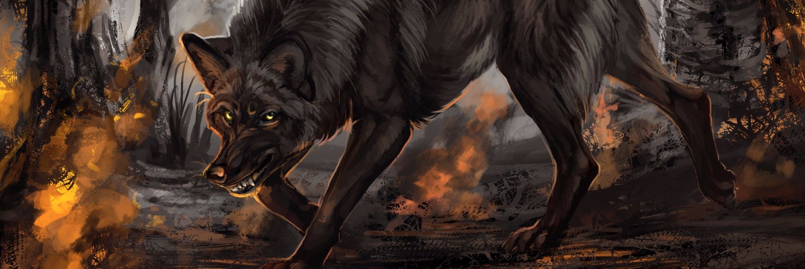 Autrocity banner