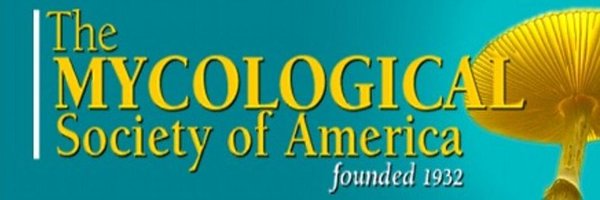 MSAFungi Profile Banner