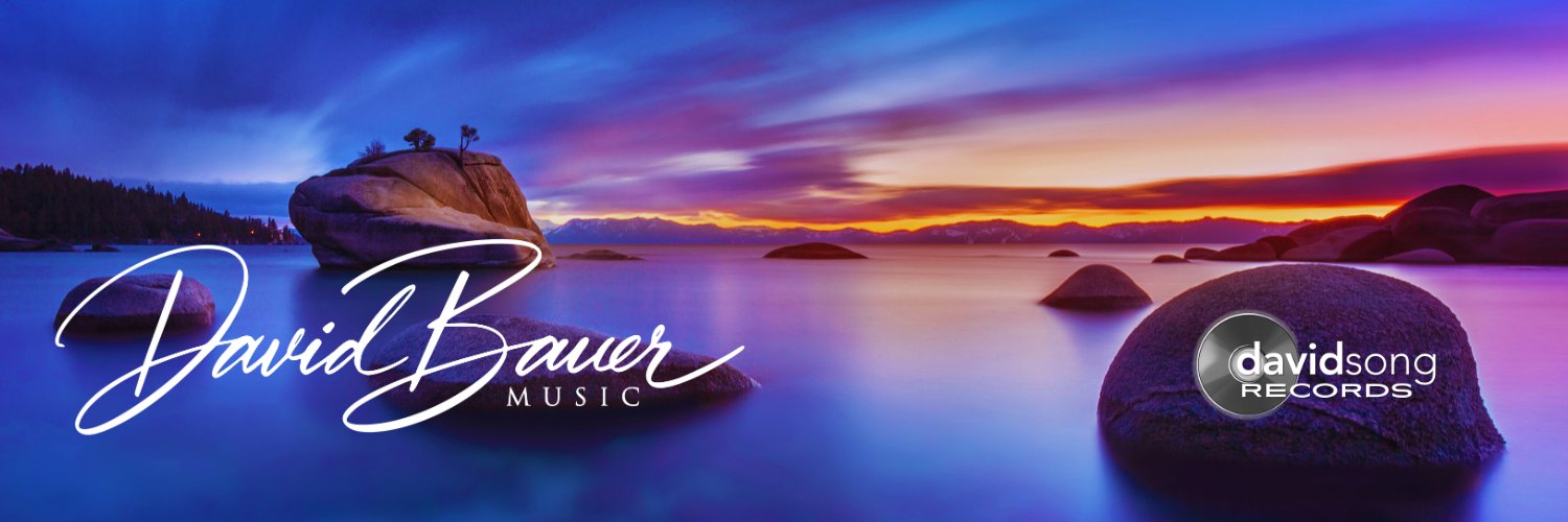 David Bauer banner