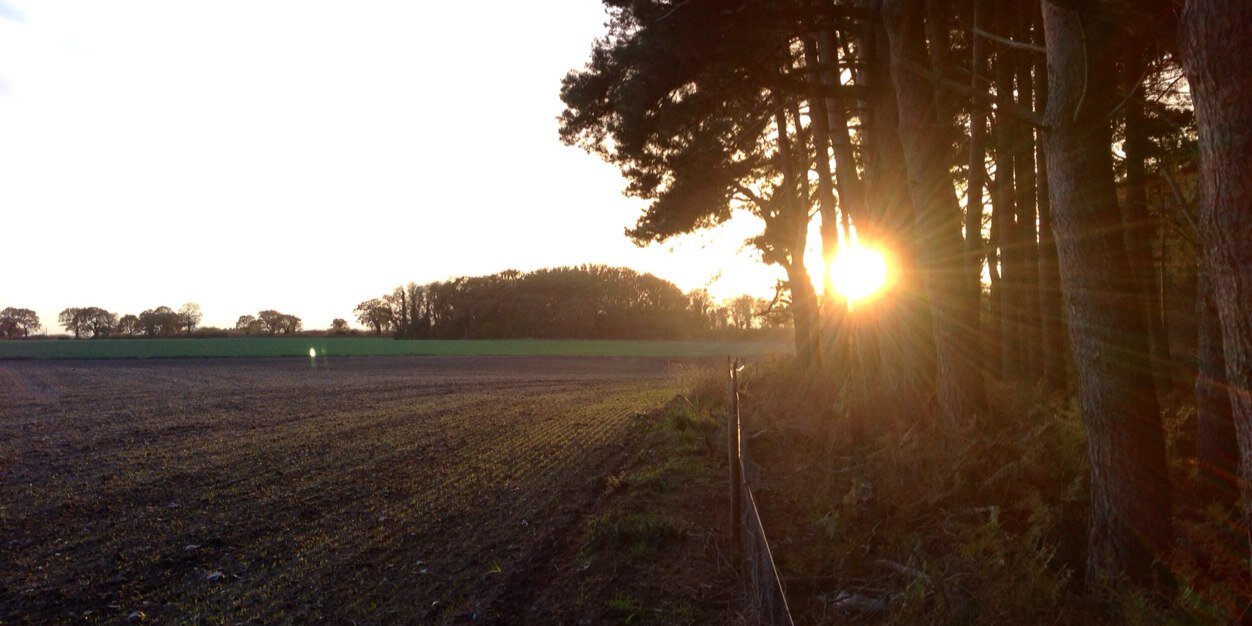 William Harrold banner