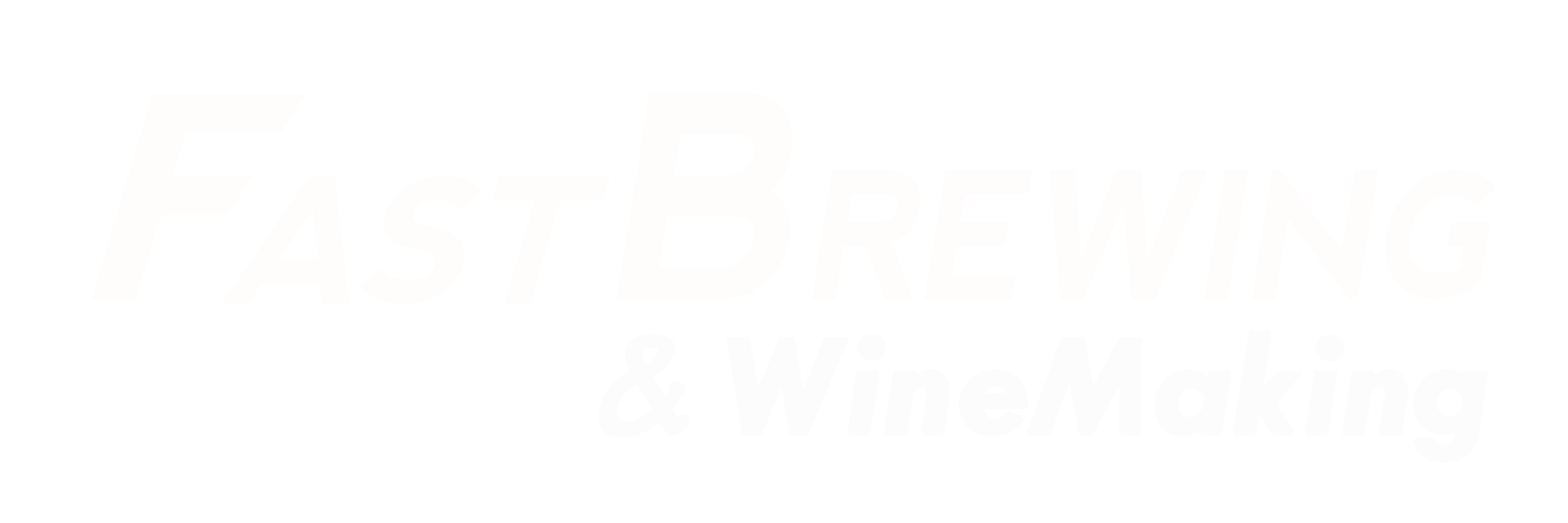 FastFerment's profile banner image