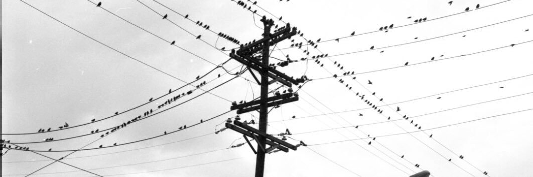 LukeOnline9's profile banner image