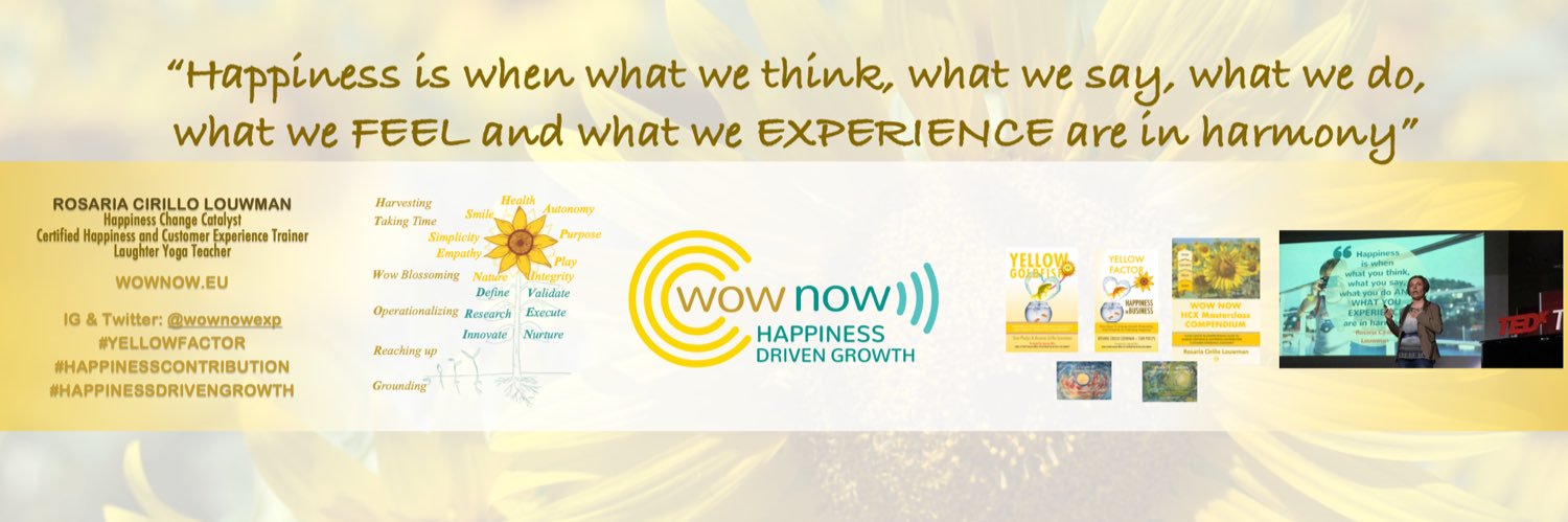 Rosaria Cirillo | Wow Now, CCXP banner