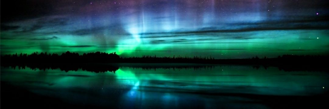 ScooterBelle ☮🌻🐾 banner