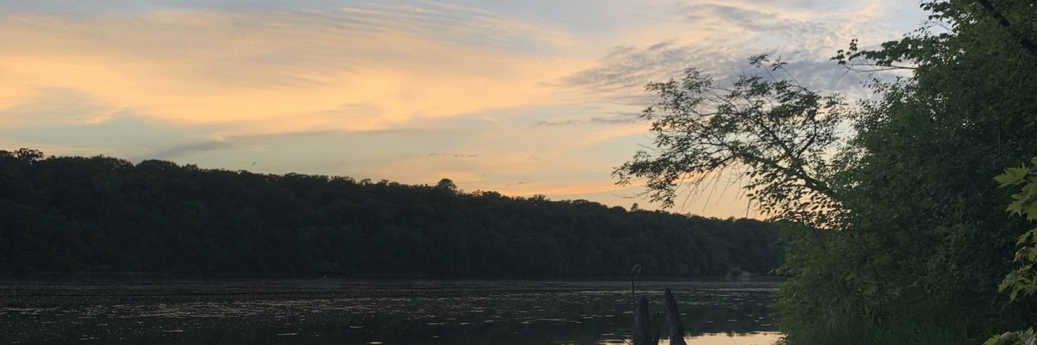 Emma_MthwsLngn's profile banner image