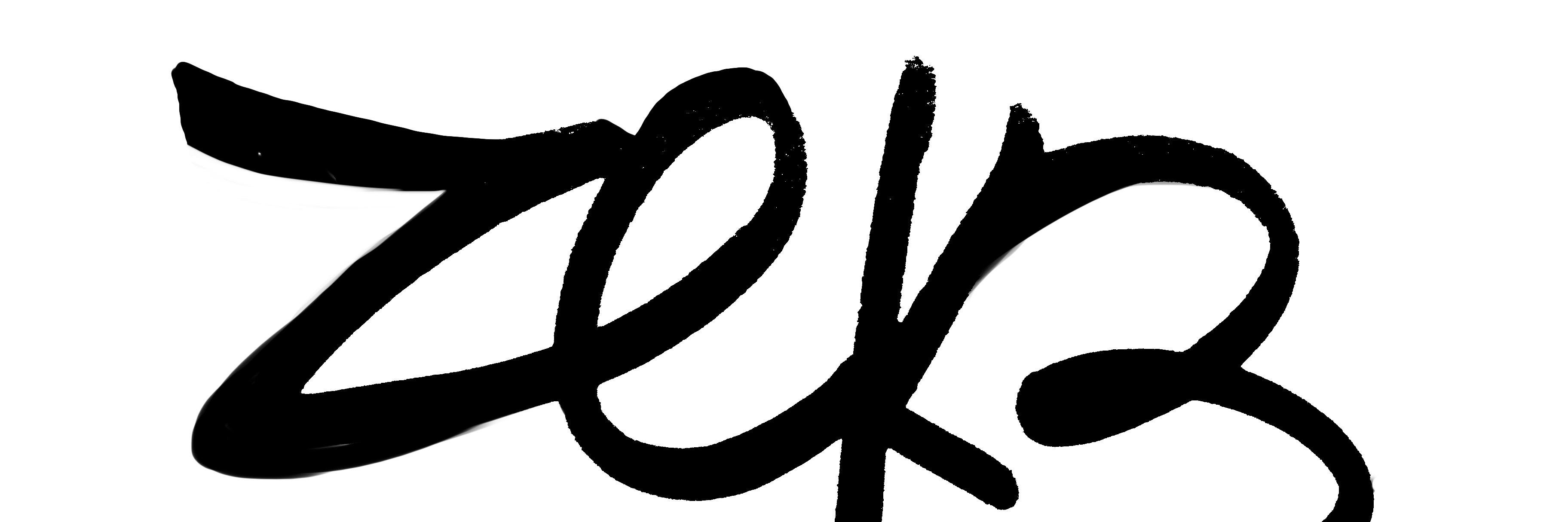zekesarudiansky's profile banner image