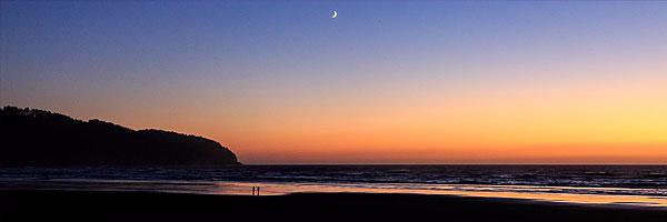 Ronniechakler's profile banner image