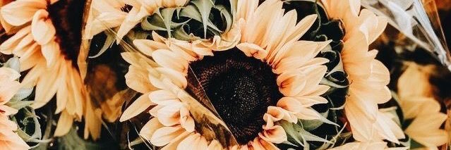 maddierayee_7's profile banner image